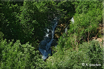 Der Navajo Fall